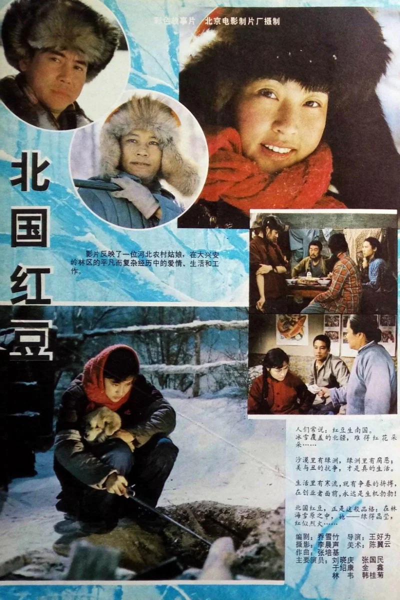 《北国红豆》海报