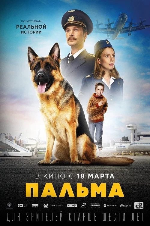 《忠犬帕尔玛》海报