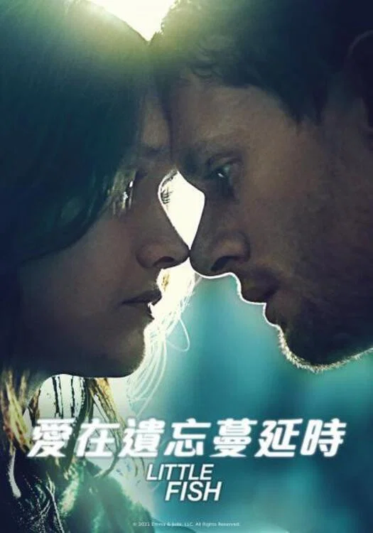 《小鱼》海报