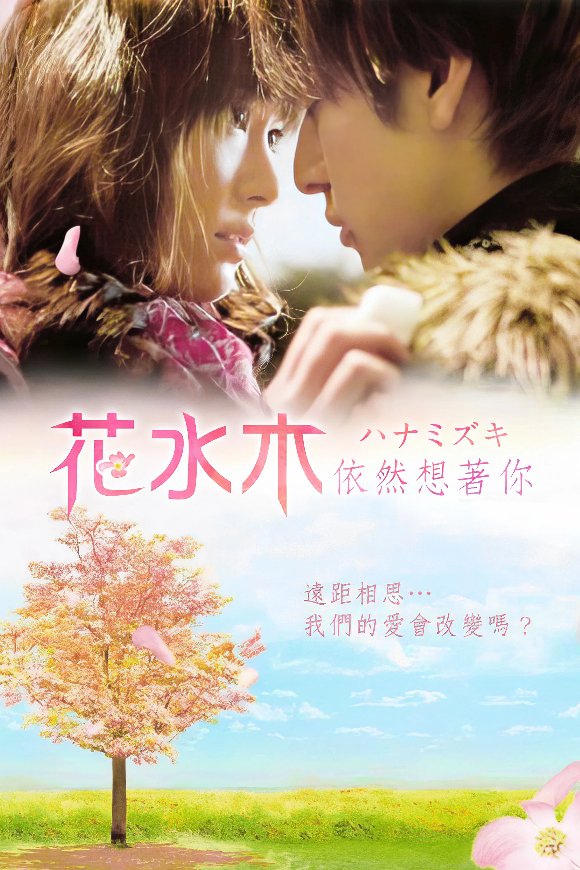 《花水木》海报
