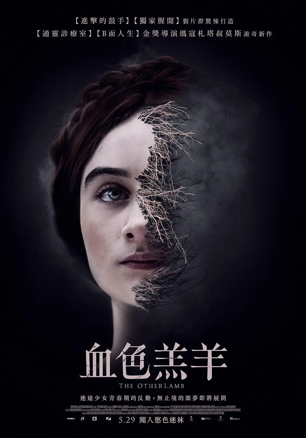 《另一只羔羊》海报