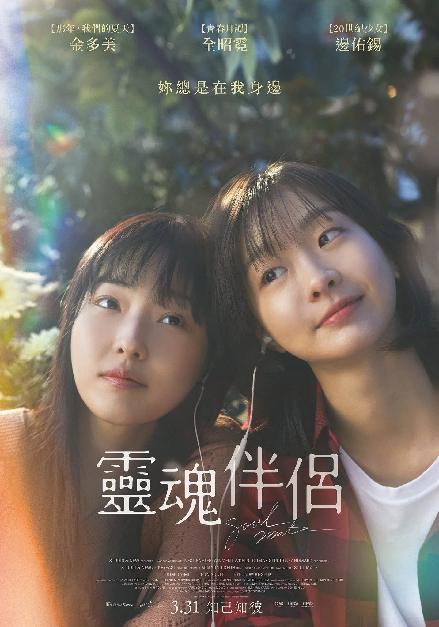 《再见，我的灵魂伴侣》海报