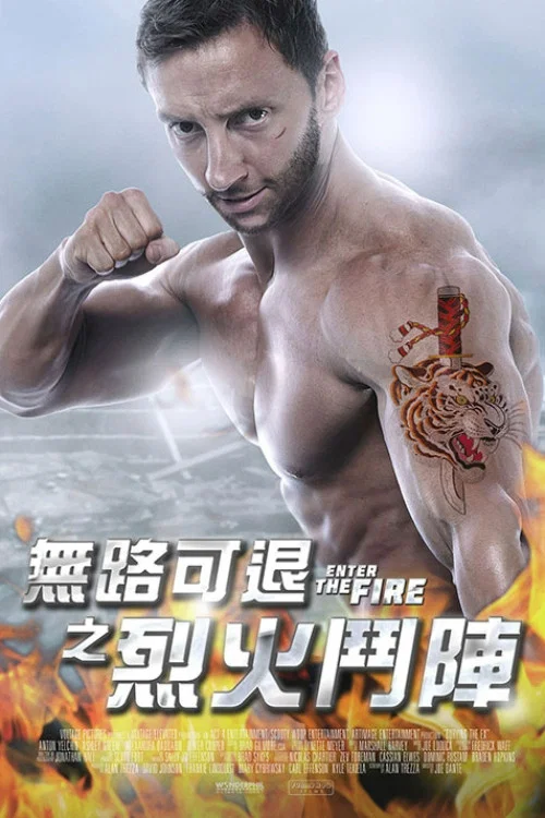 火拳快影