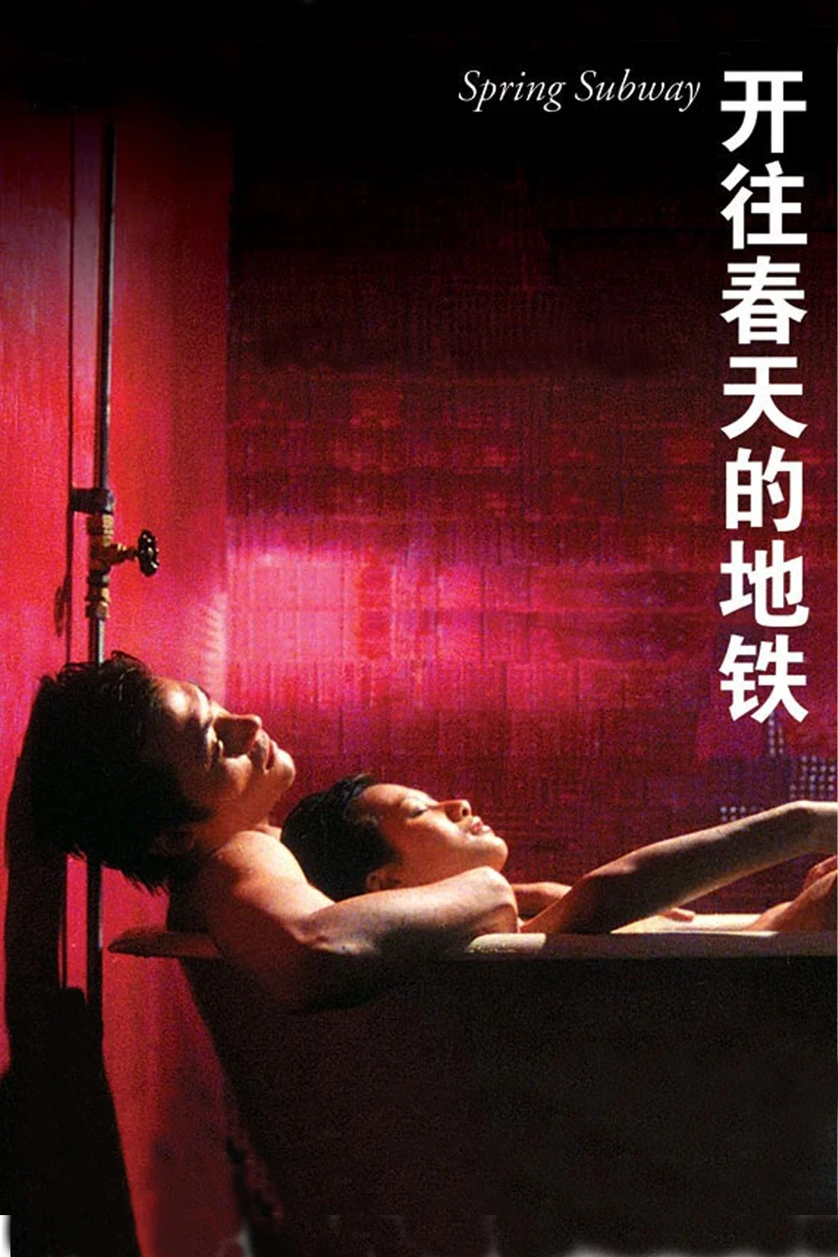 《开往春天的地铁》海报