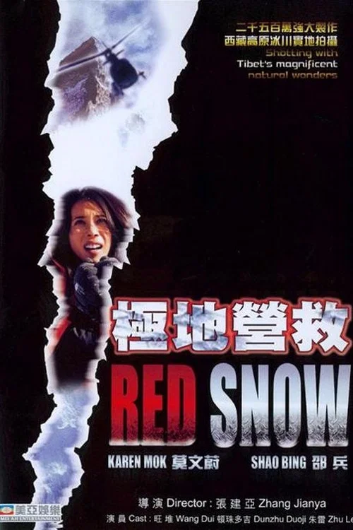 《极地营救》海报