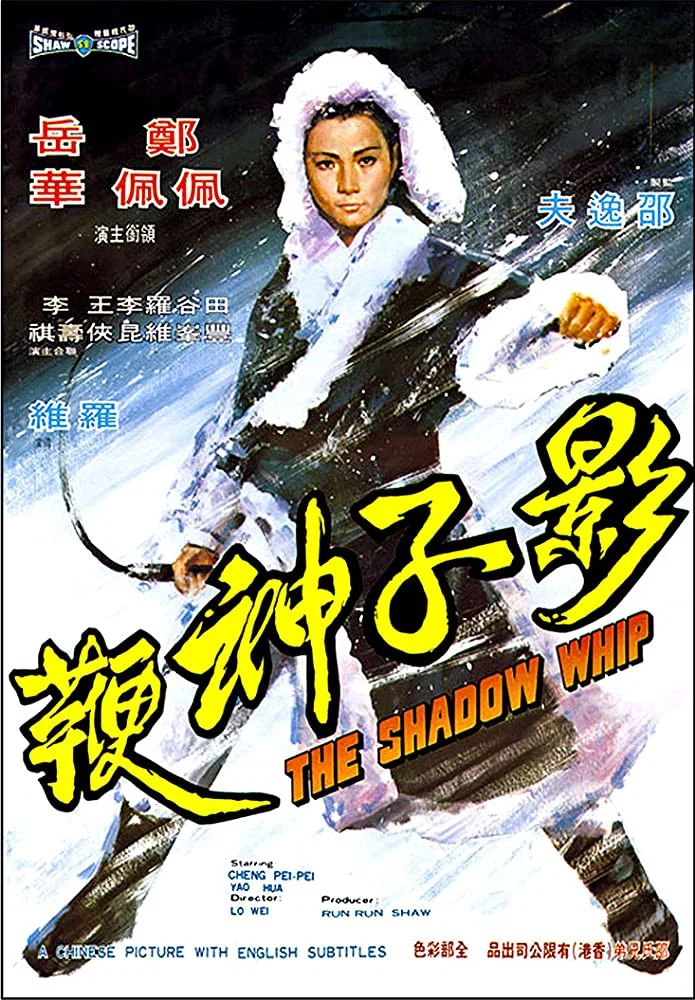 《影子神鞭》海报