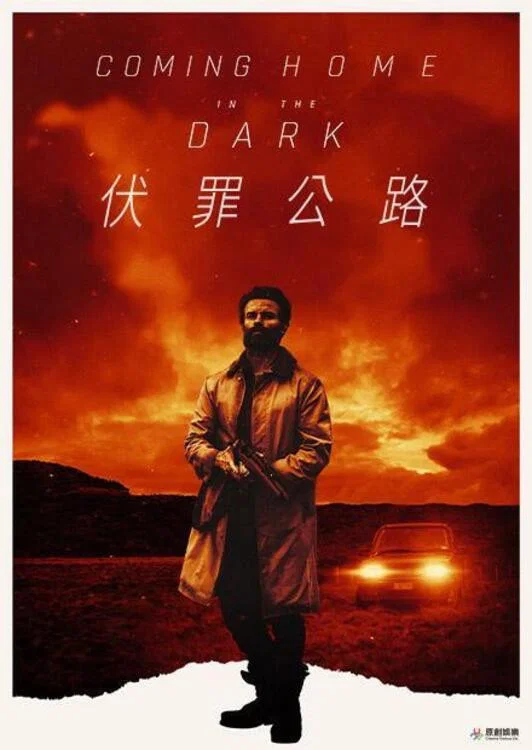 《在黑暗中回家》海报