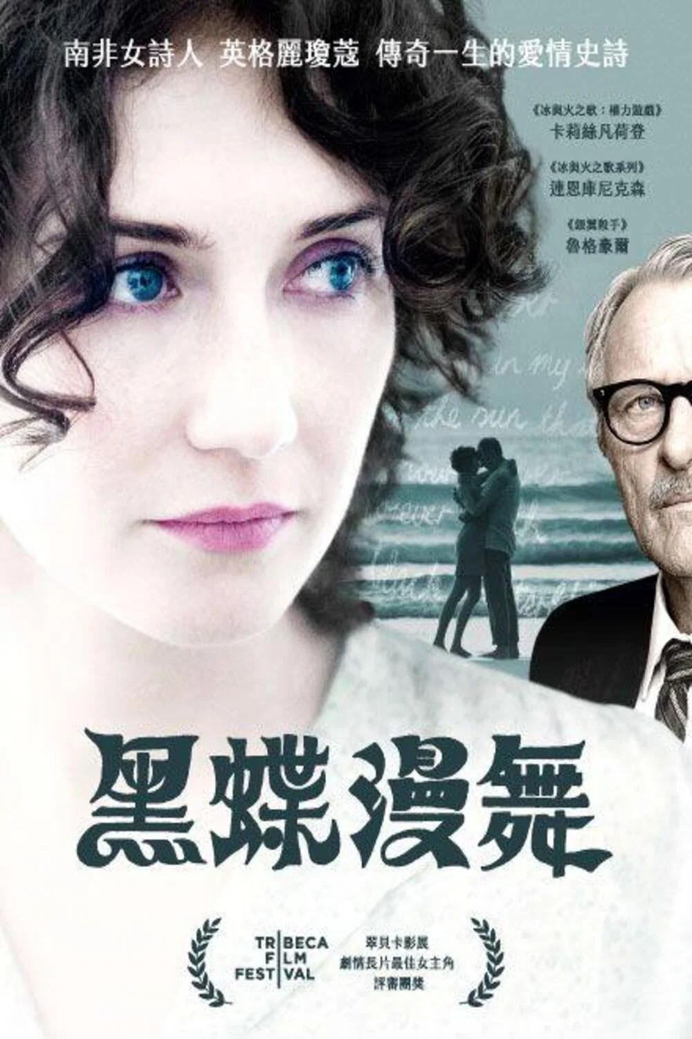 《黑蝶漫舞》海报