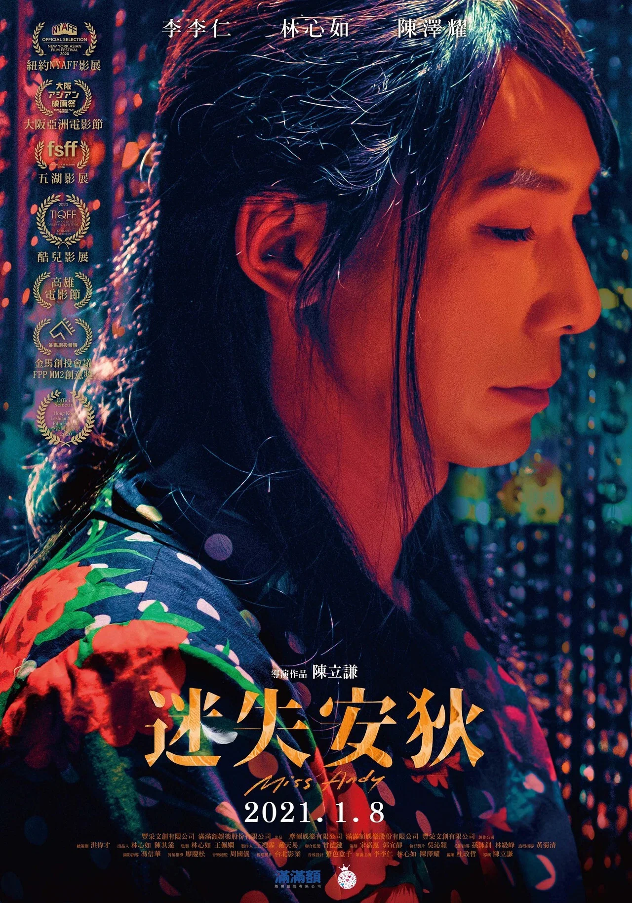 《迷失安狄》海报