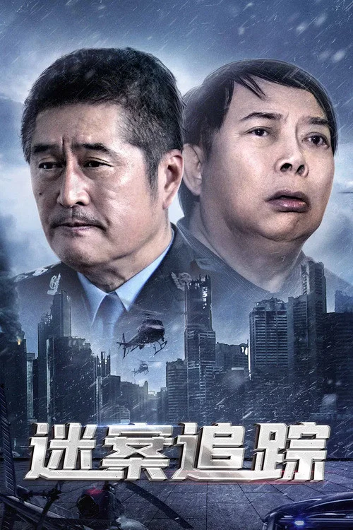 《迷案追踪》海报