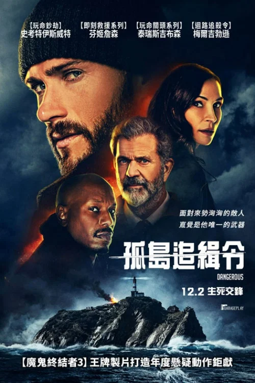《危险境地》海报