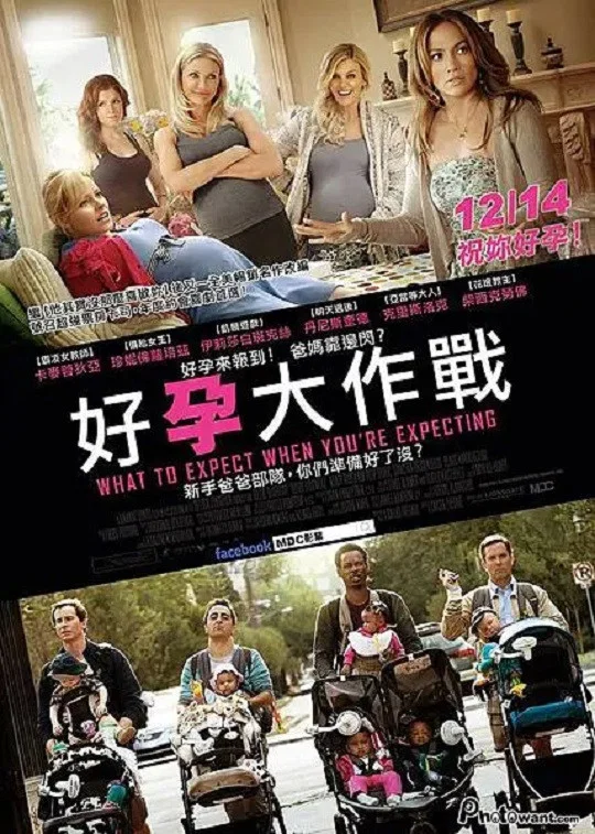 《孕期完全指导》海报