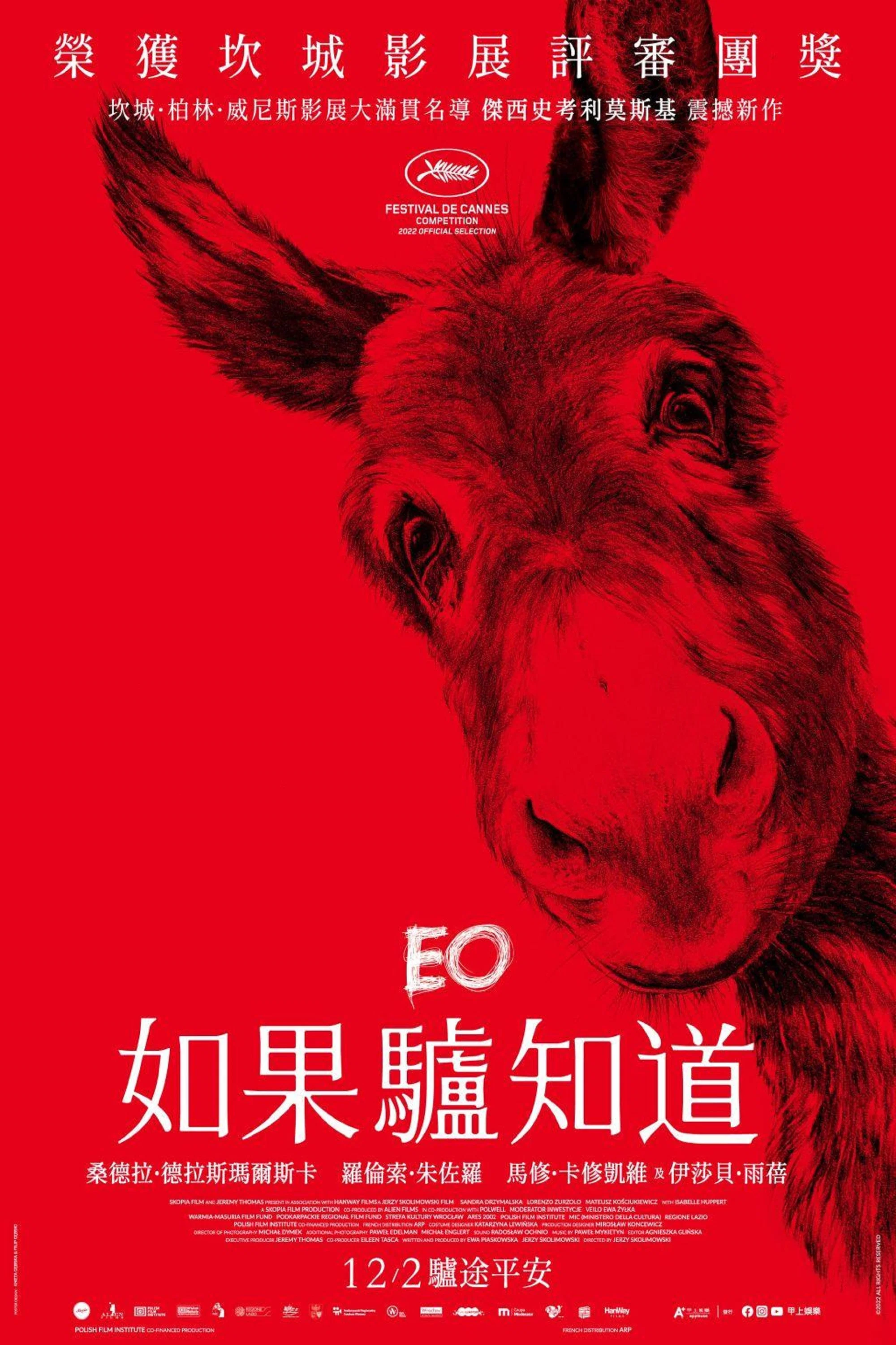《驴叫》海报