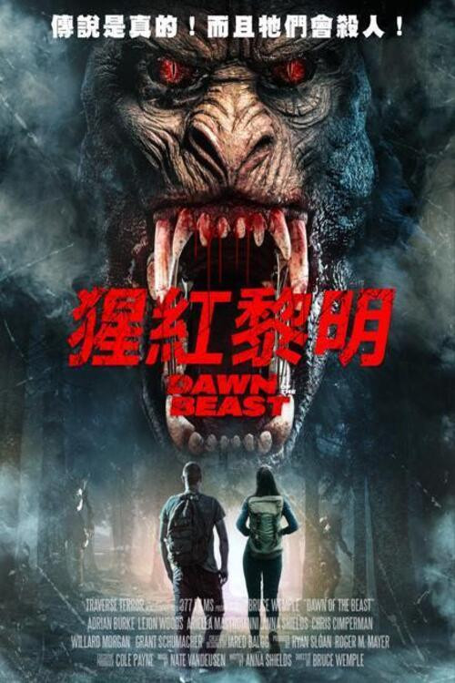 野兽的黎明
