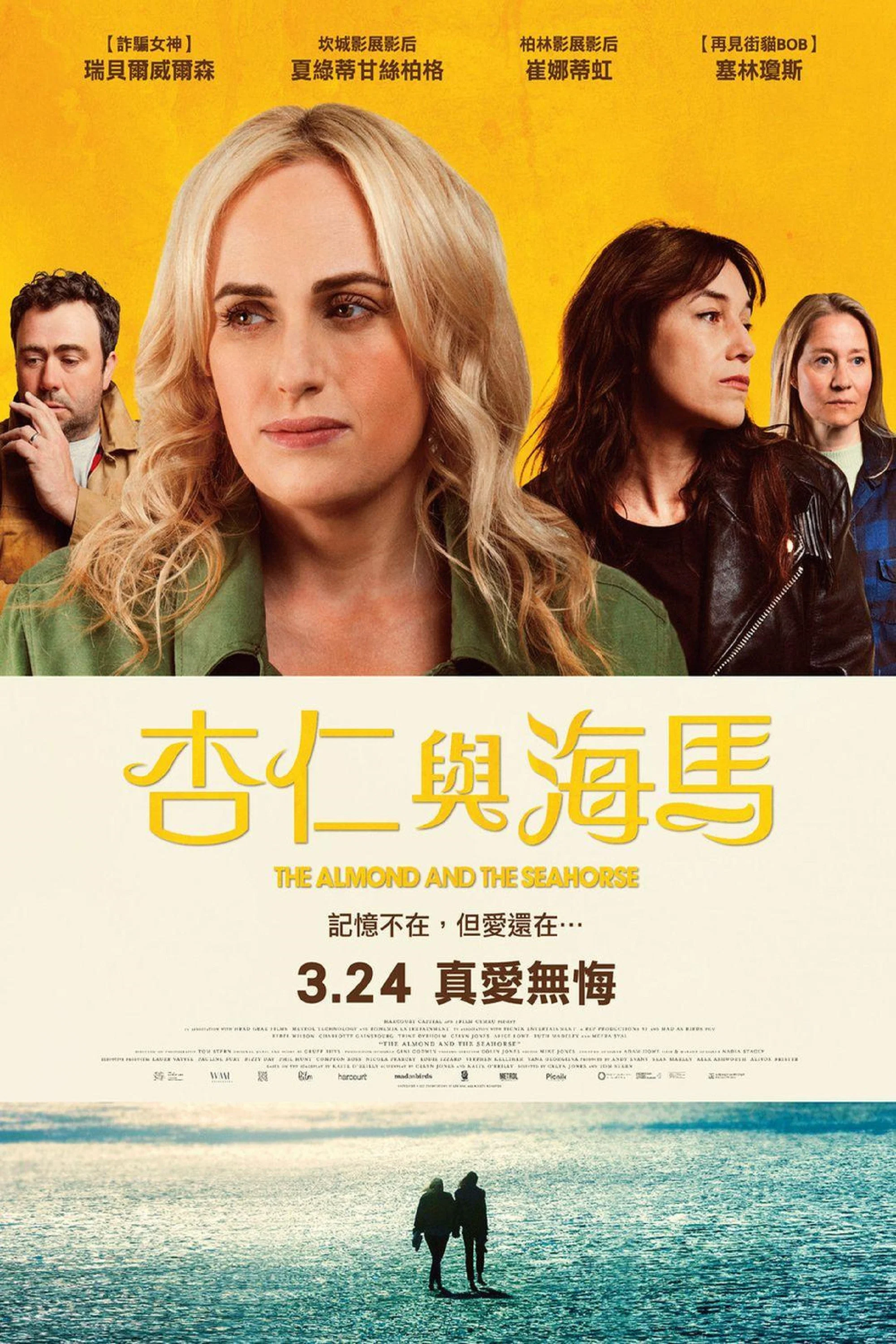 《杏仁体与海马体》海报