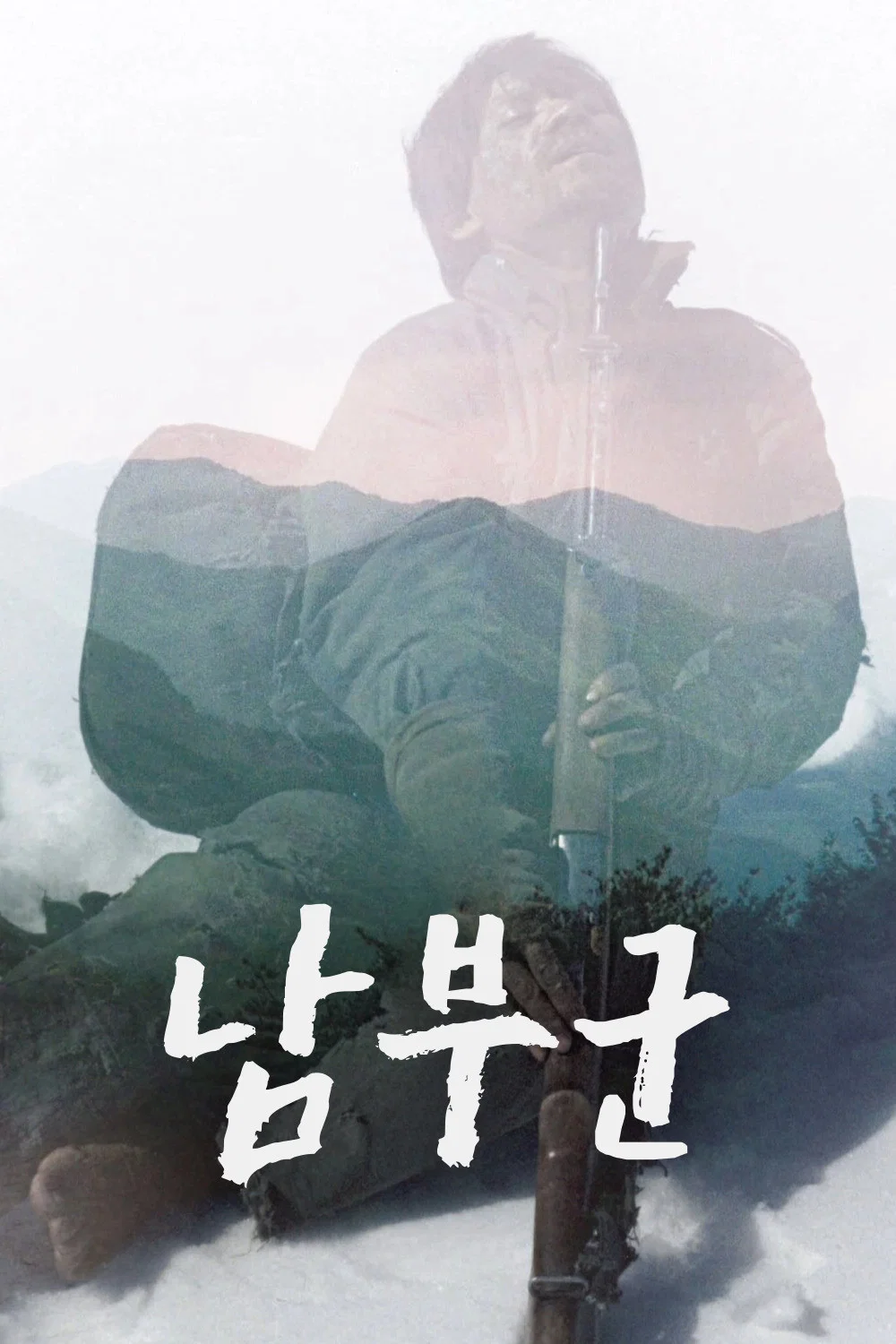 《南部军》海报