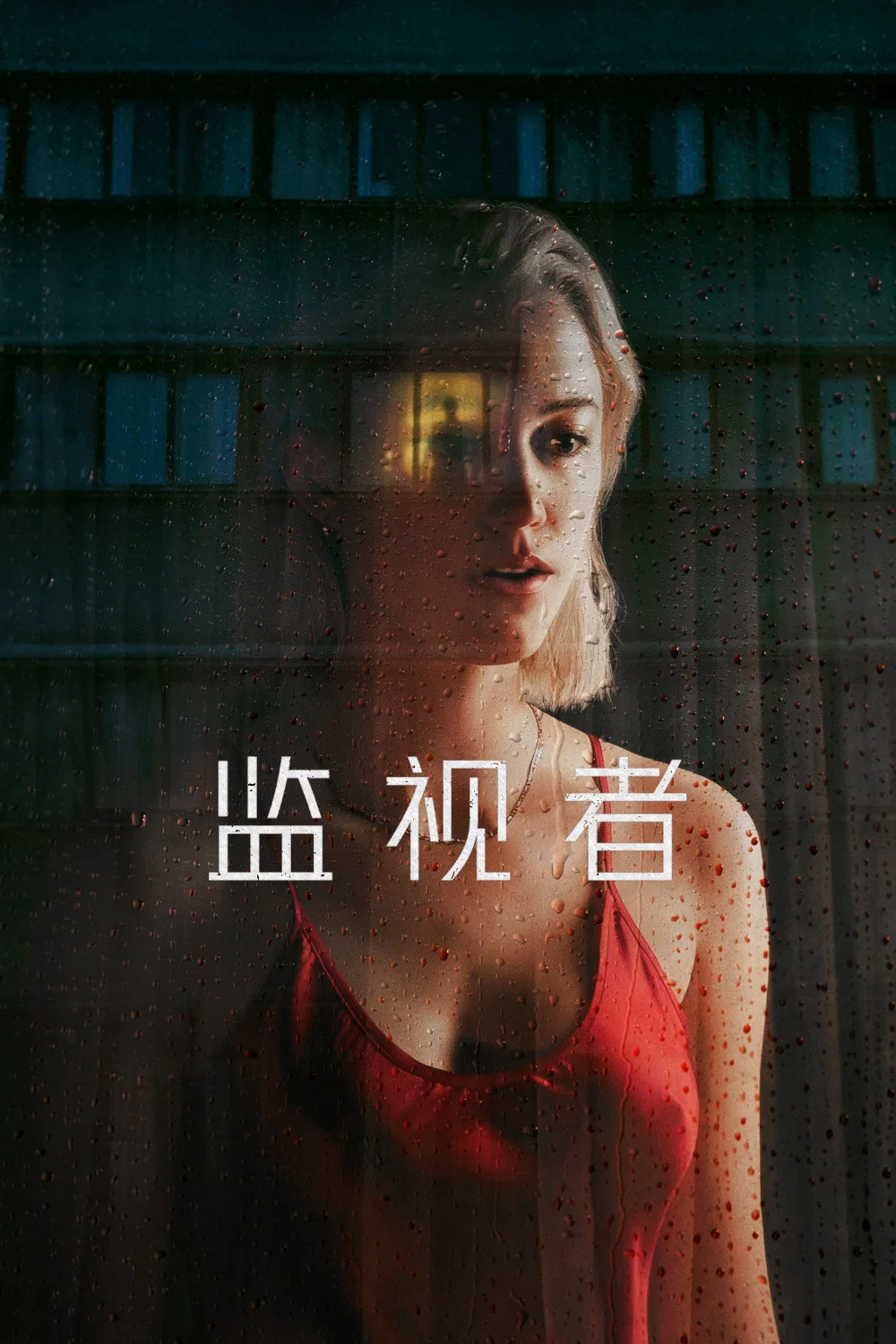 《监视者》海报
