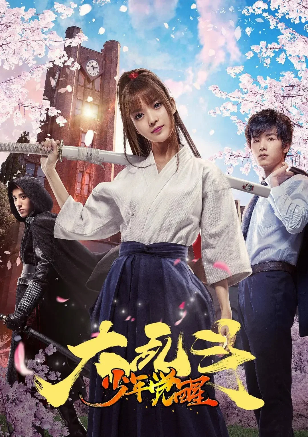《大乱斗之少年觉醒》海报