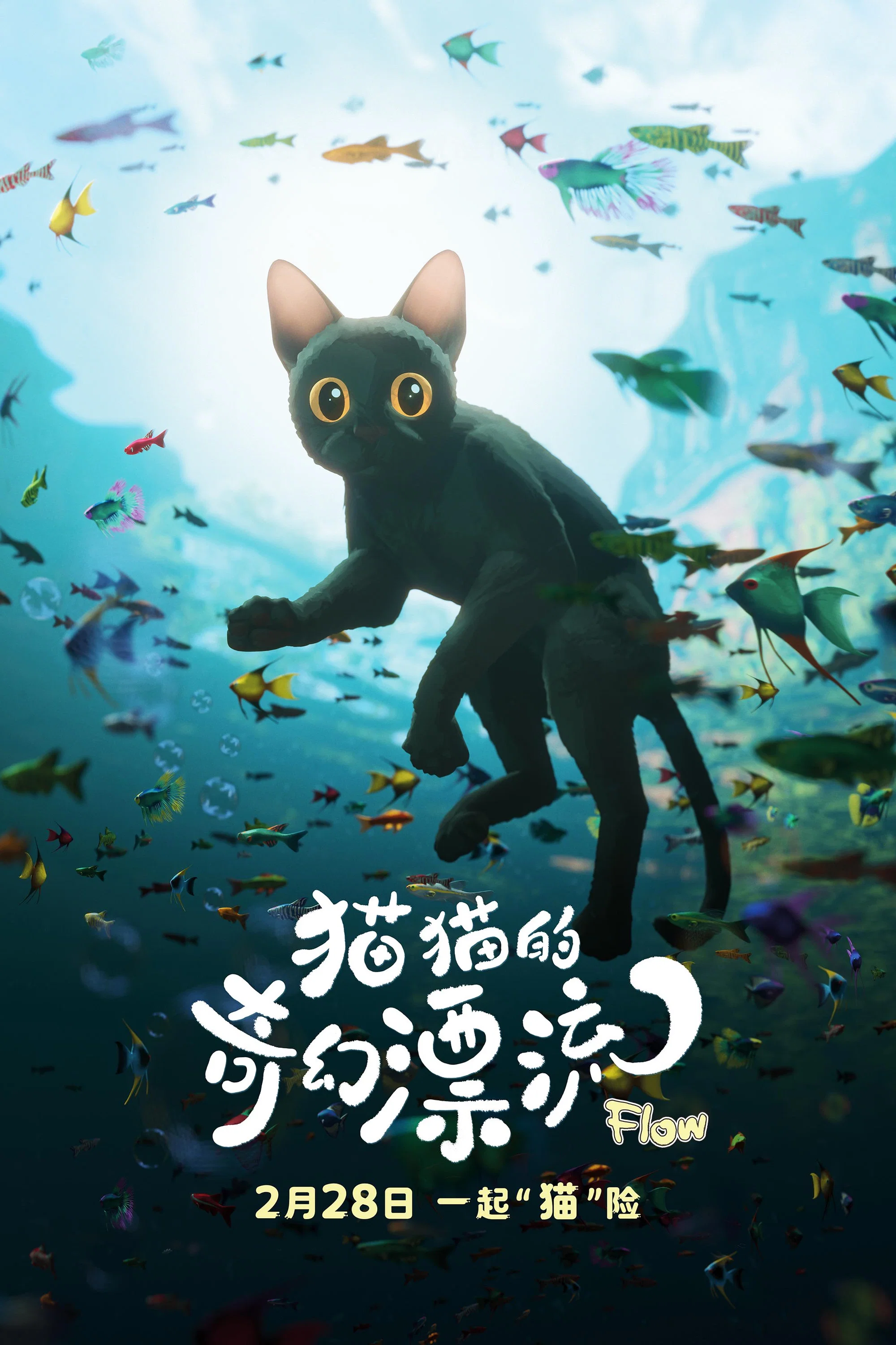猫猫的奇幻漂流封面图