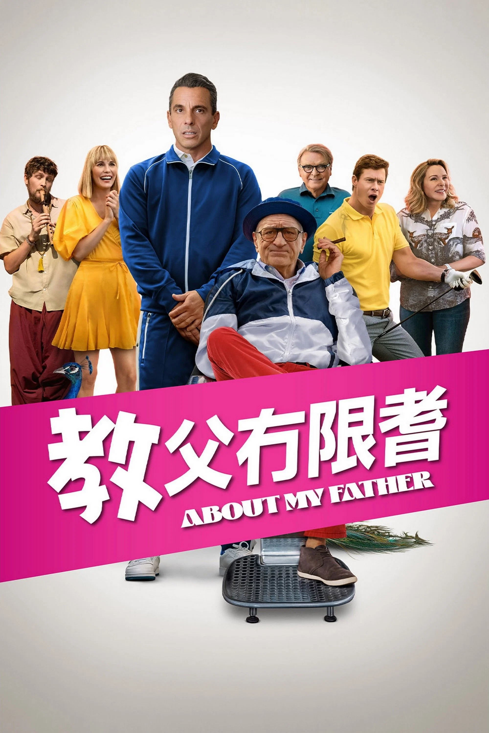 《关于我的父亲》海报