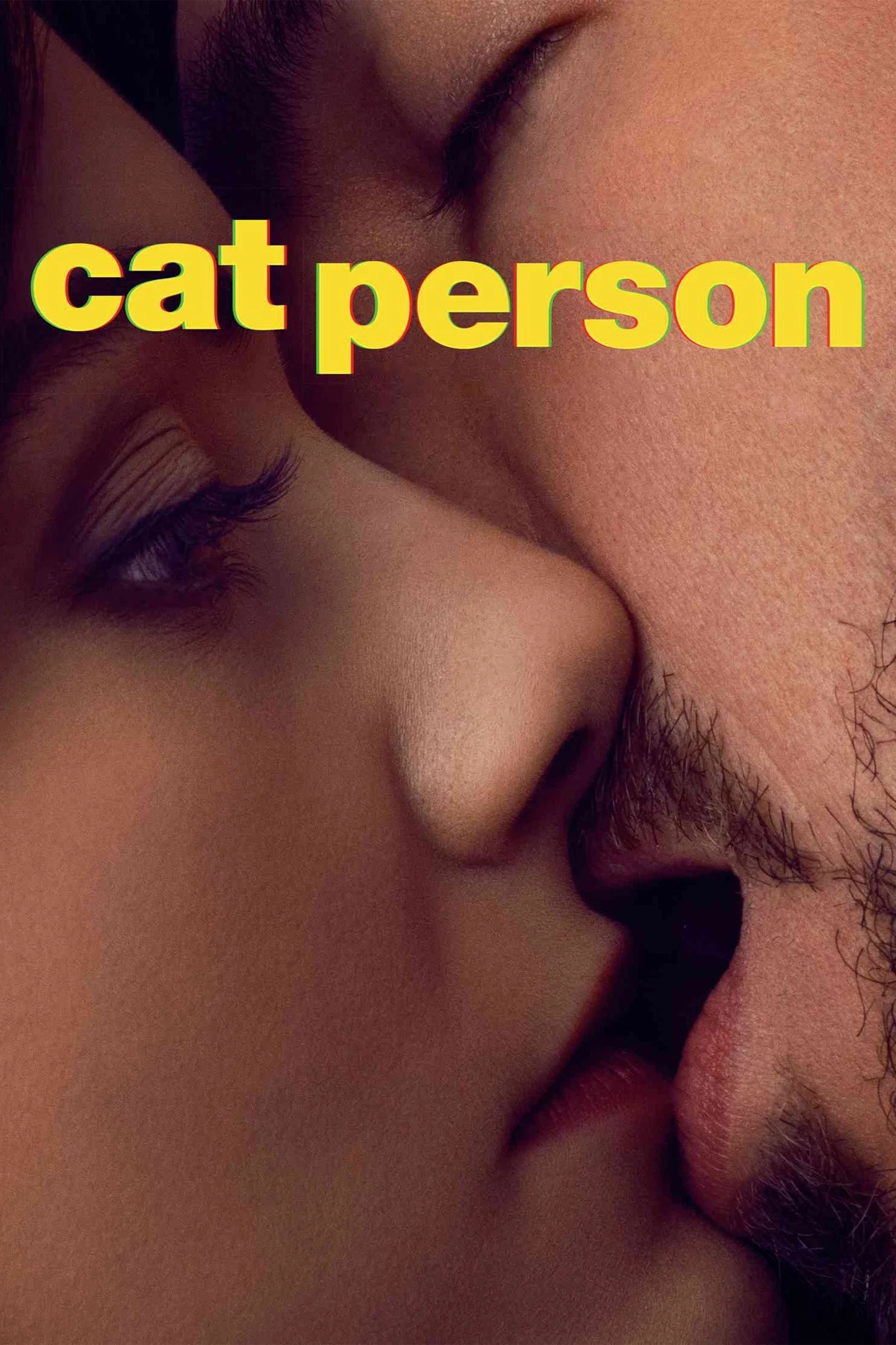 《爱猫人》海报