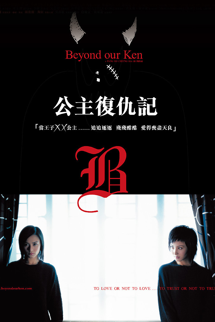《公主复仇记》海报