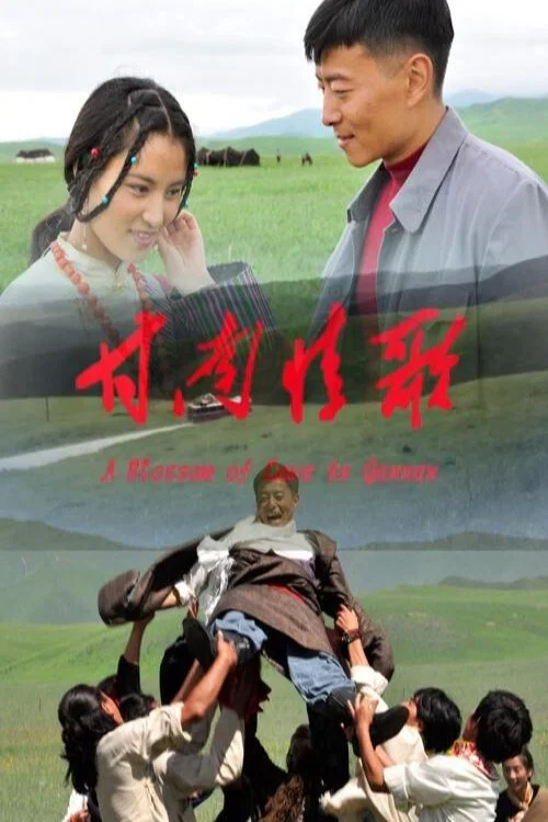 《甘南情歌》海报