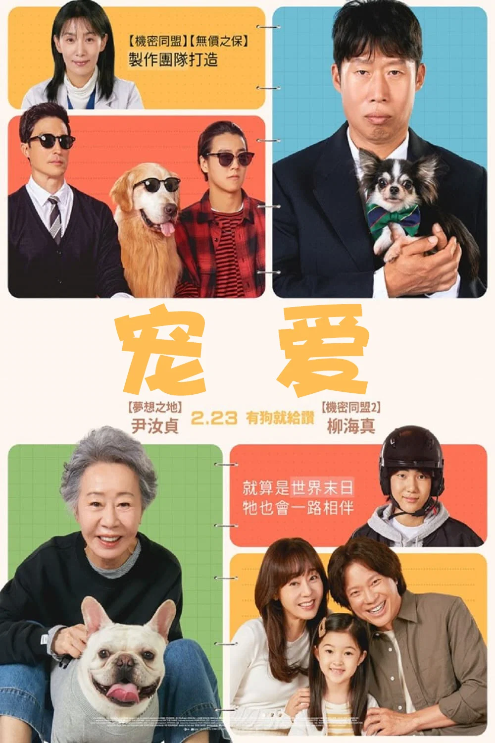 《宠爱》海报