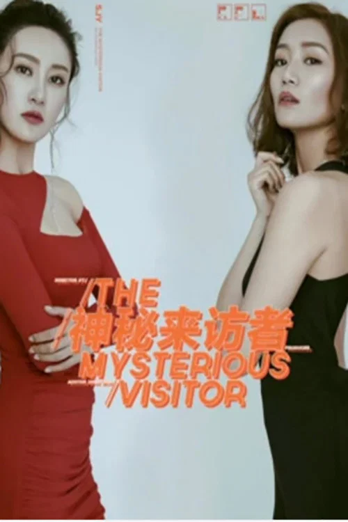 神秘来访者