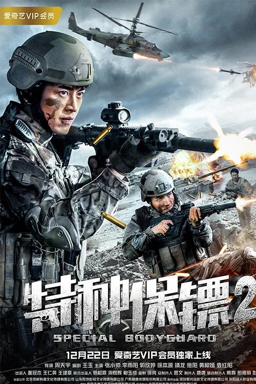 《特种保镖2》海报