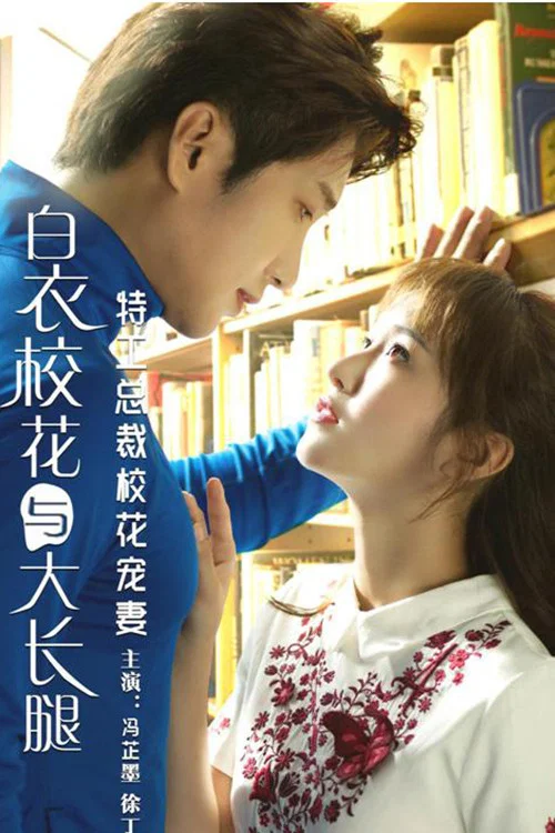 《特工总裁校花宠妻》海报