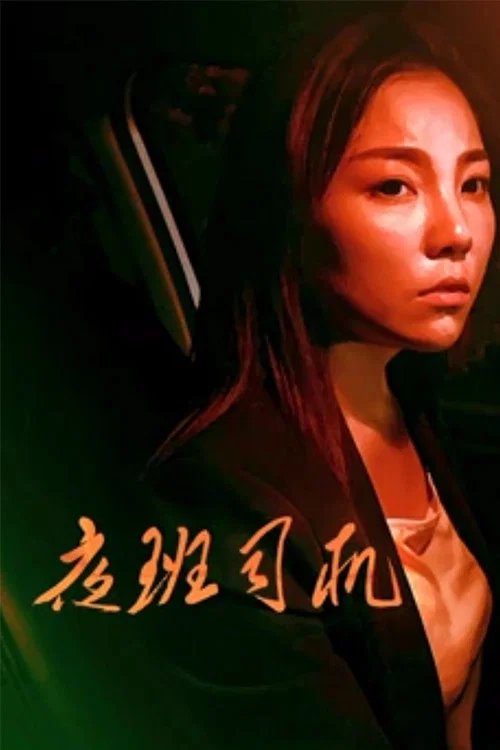 《夜班司机》海报