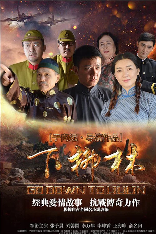 《下柳林》海报