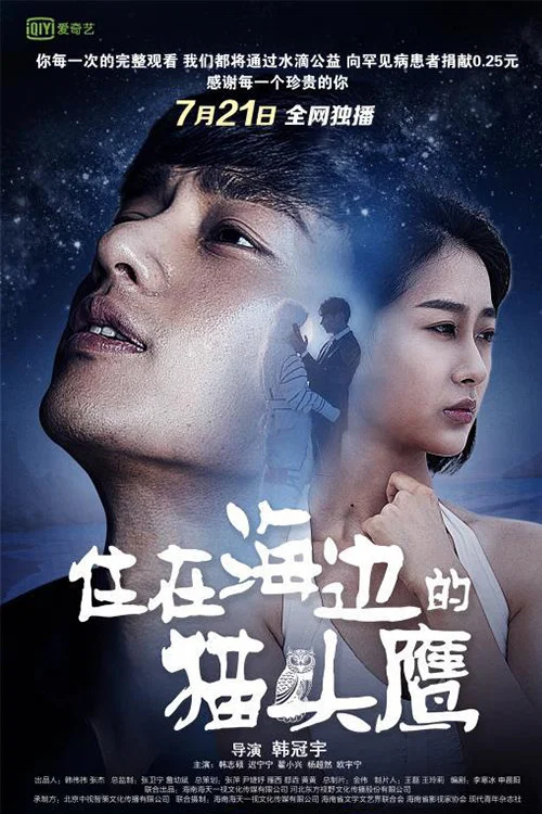 《住在海边的猫头鹰》海报