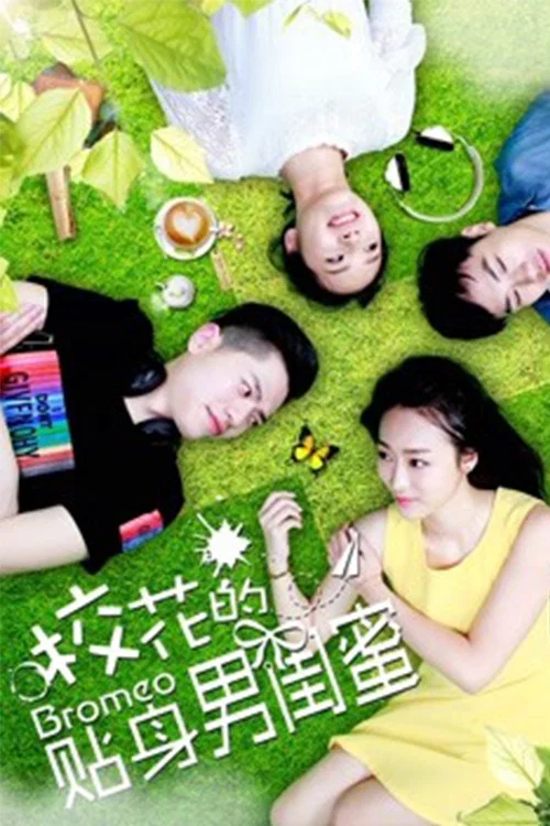 《校花的贴身男闺蜜》海报