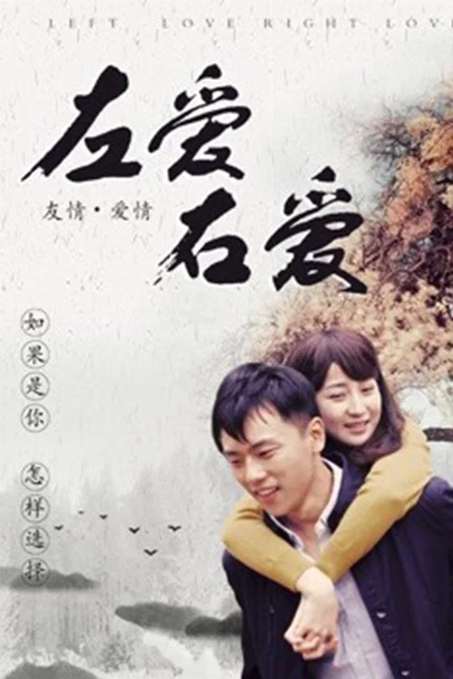 《左爱右爱》海报