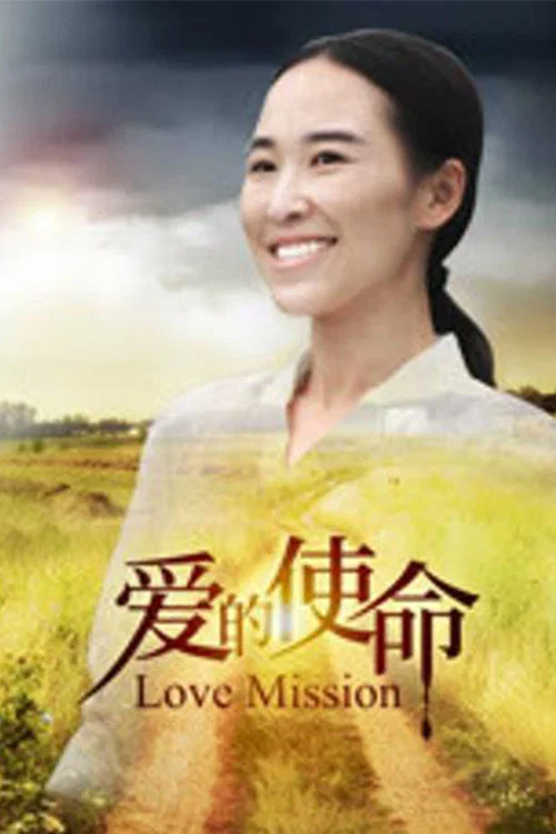 《爱的使命》海报