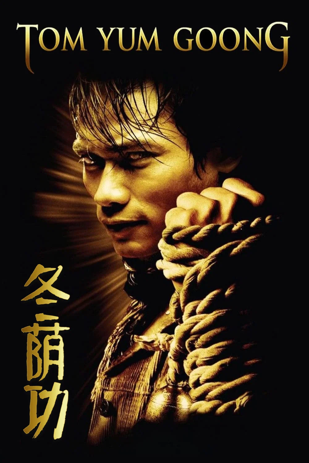 冬荫功