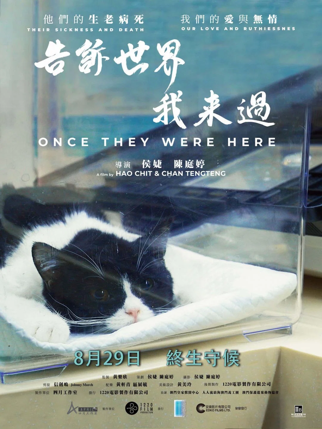 告诉世界我来过