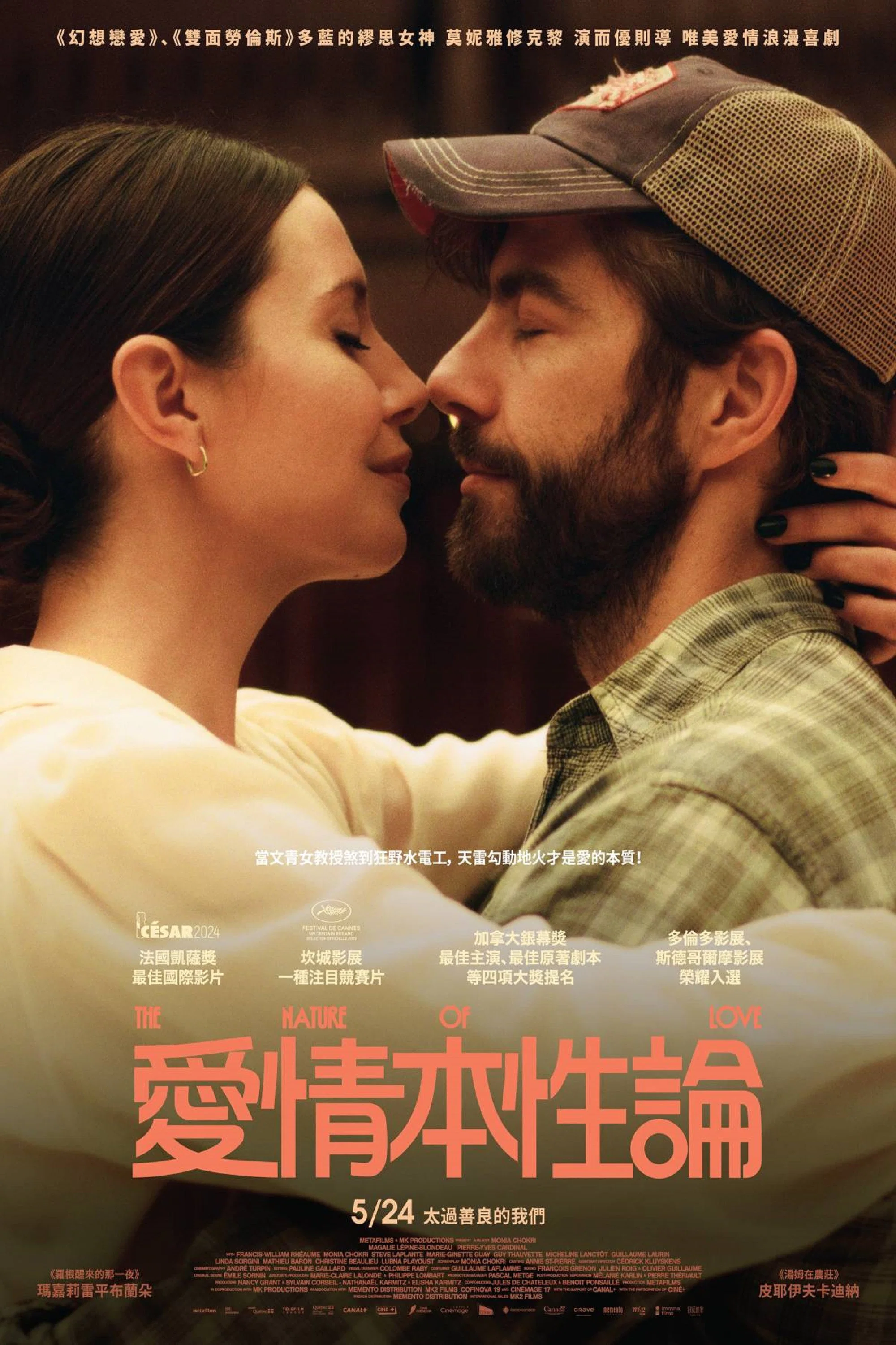 《简如西尔万》海报
