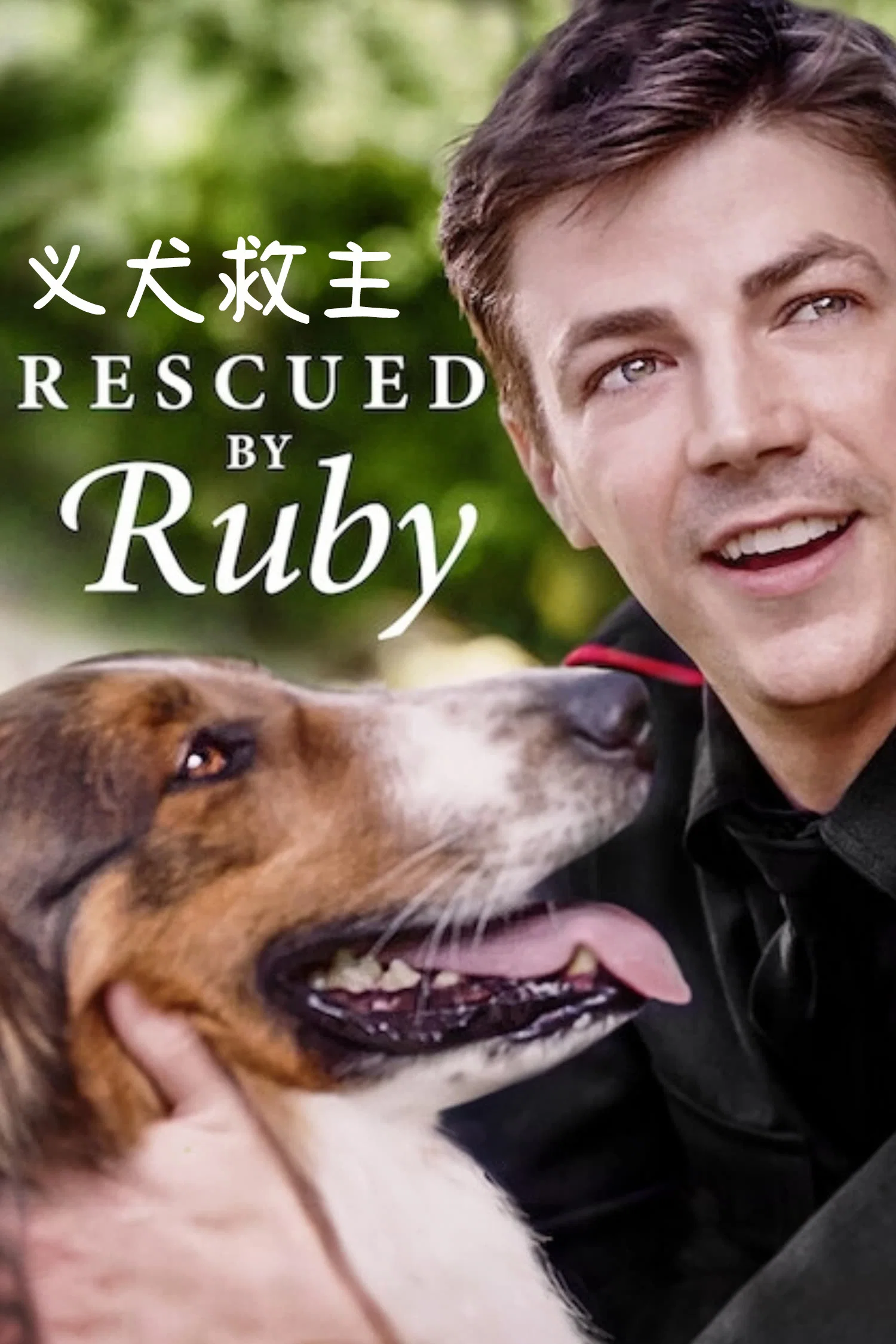 《义犬救主》海报