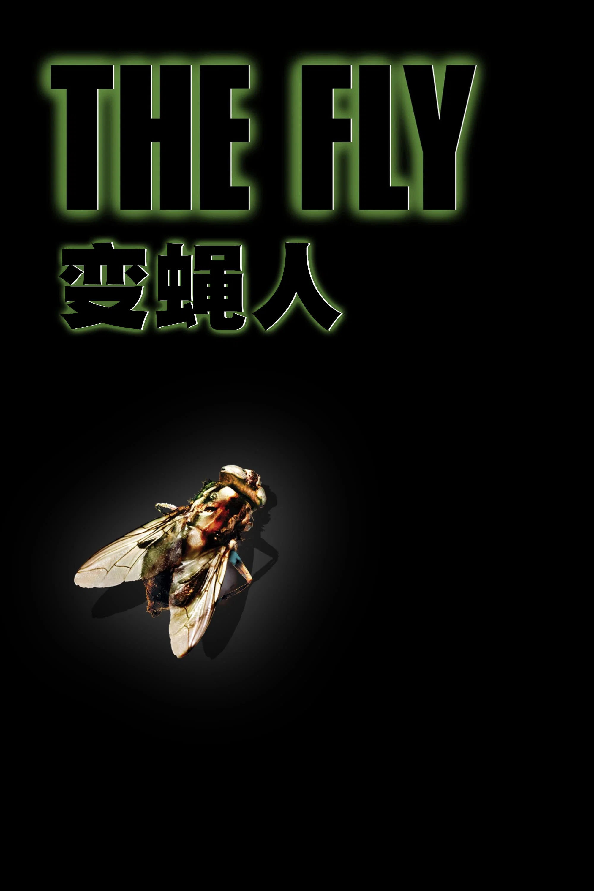 《变蝇人》海报