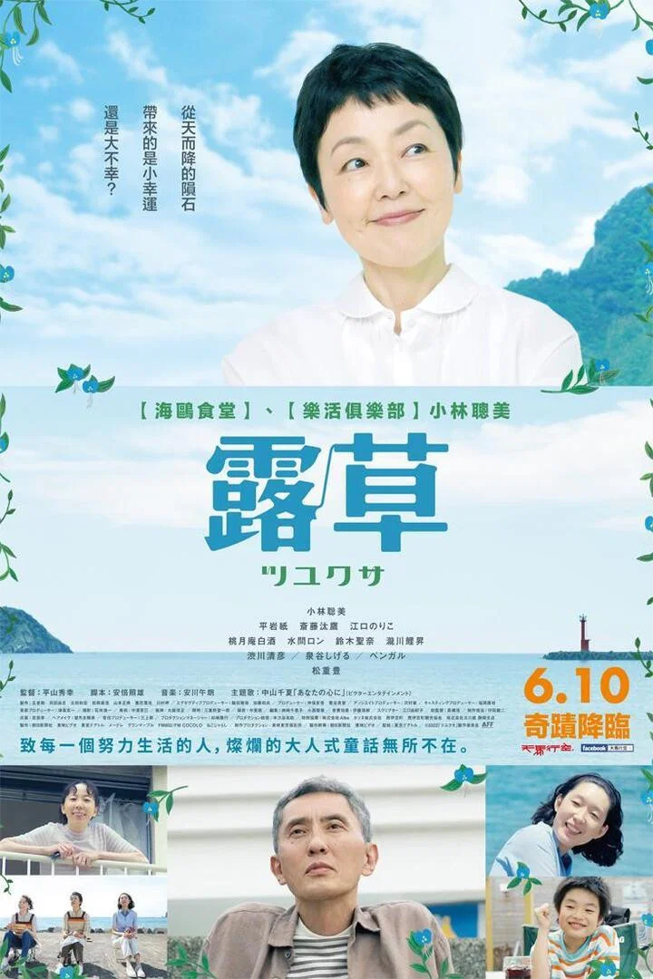 《鸭跖草》海报