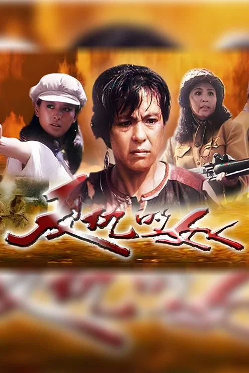 《复仇的女人》海报
