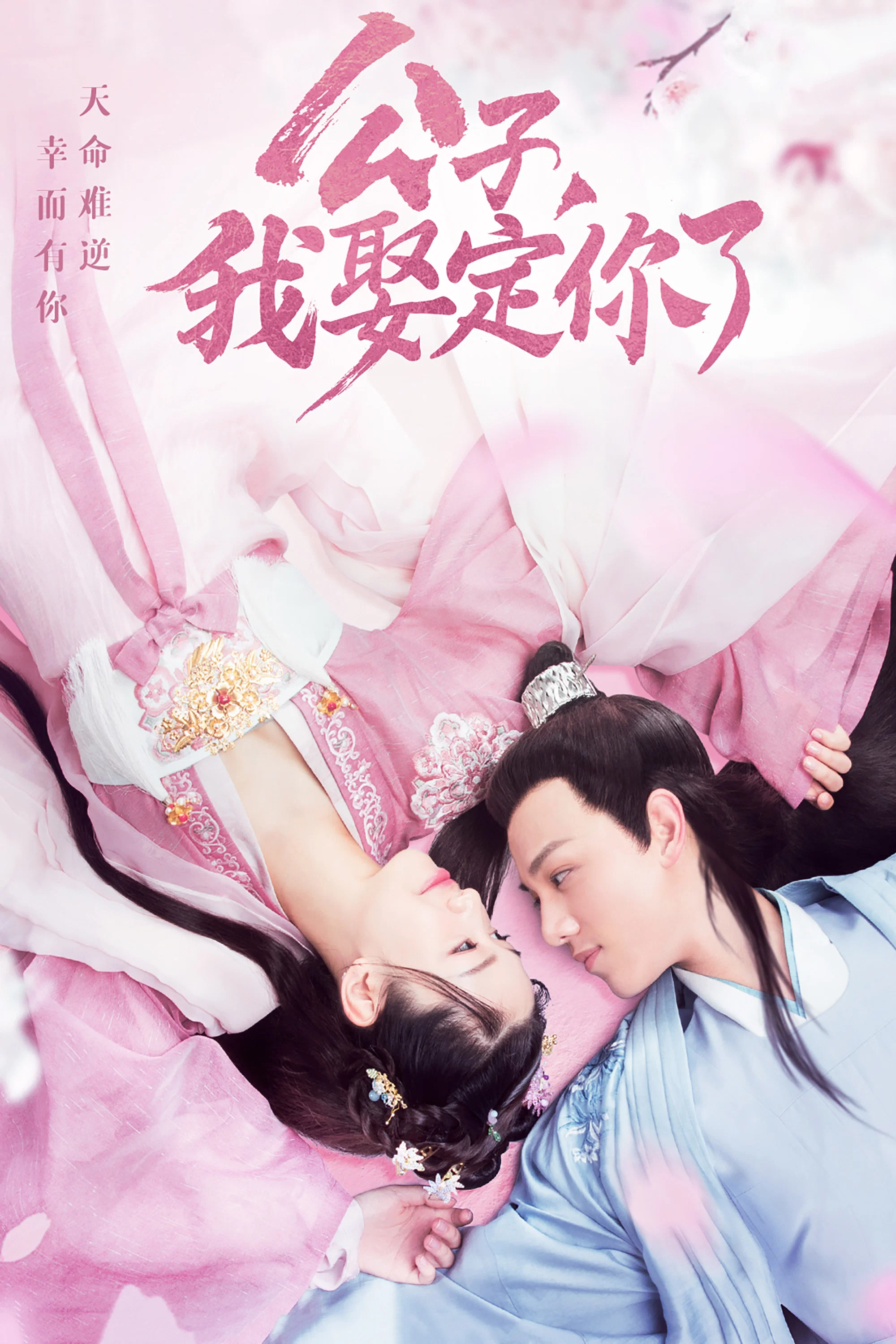 公子，我娶定你了封面图