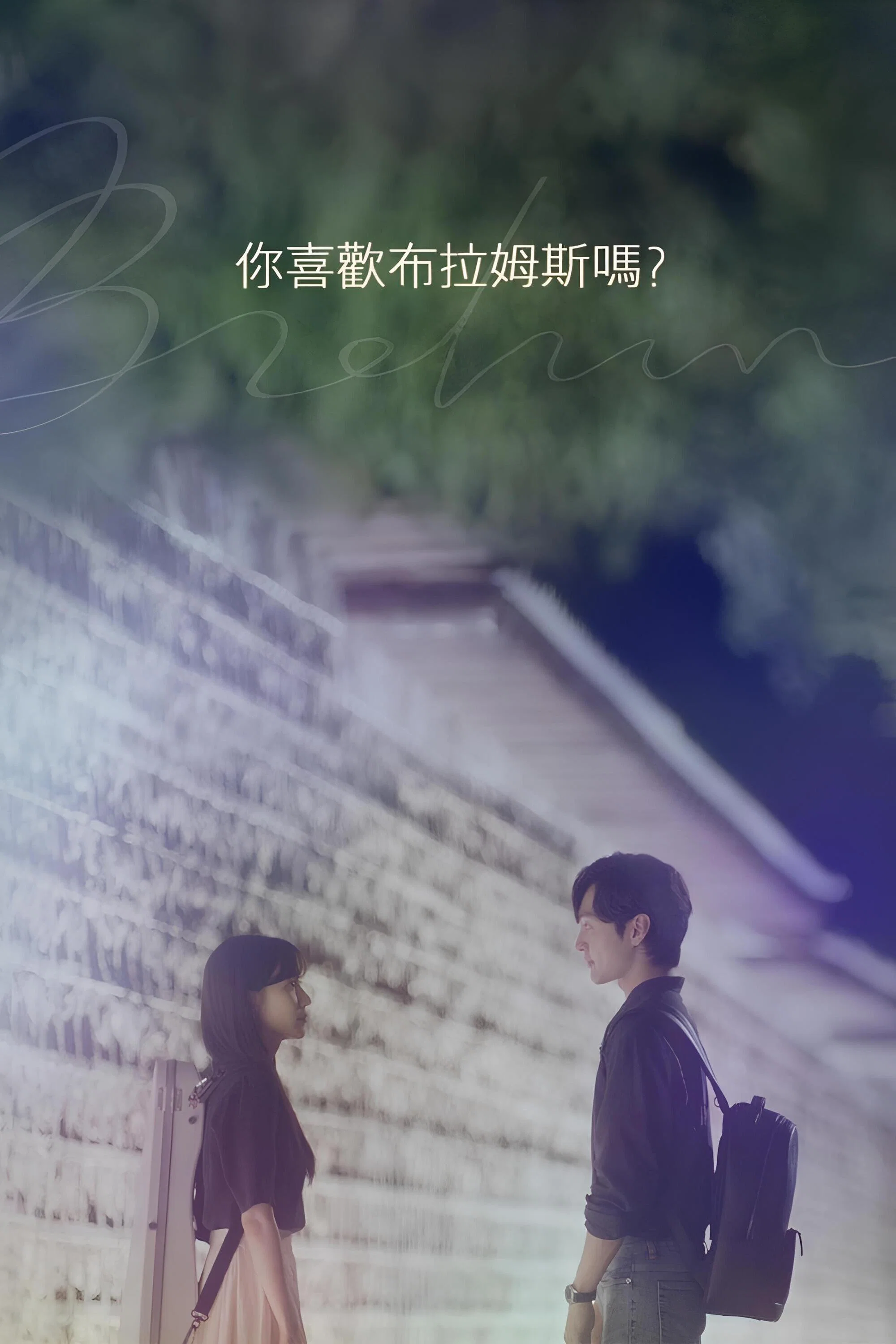 《你喜欢勃拉姆斯吗》海报