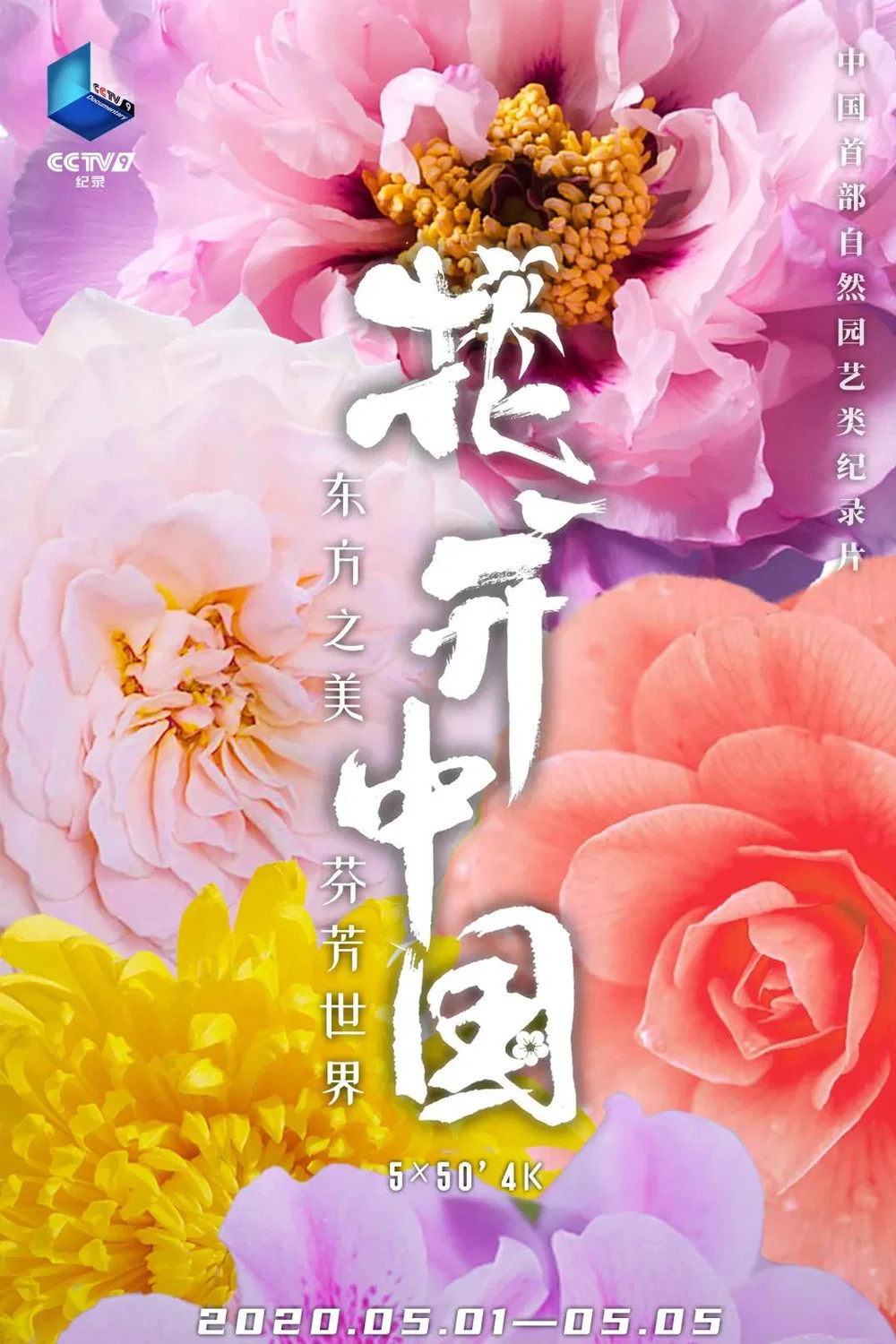 《花开中国》海报