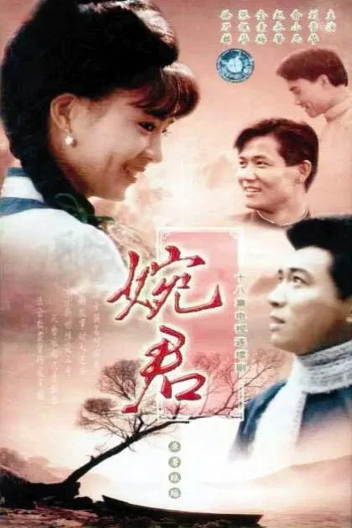 《婉君》海报