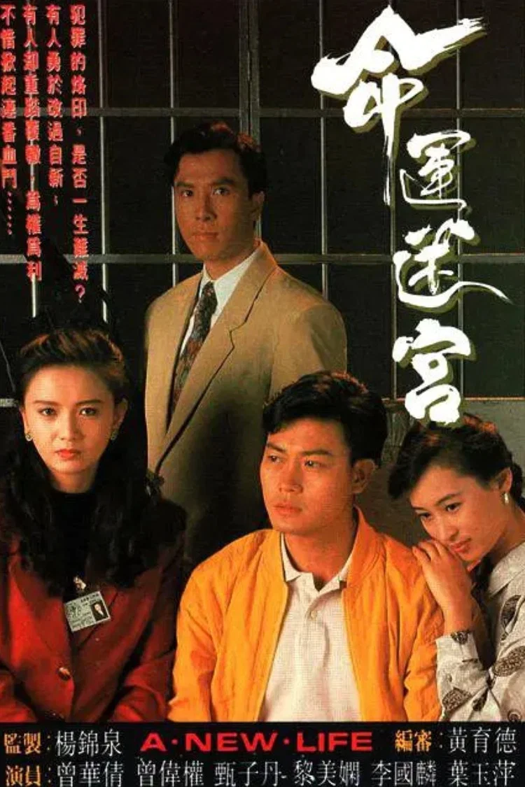 《命运迷宫》海报