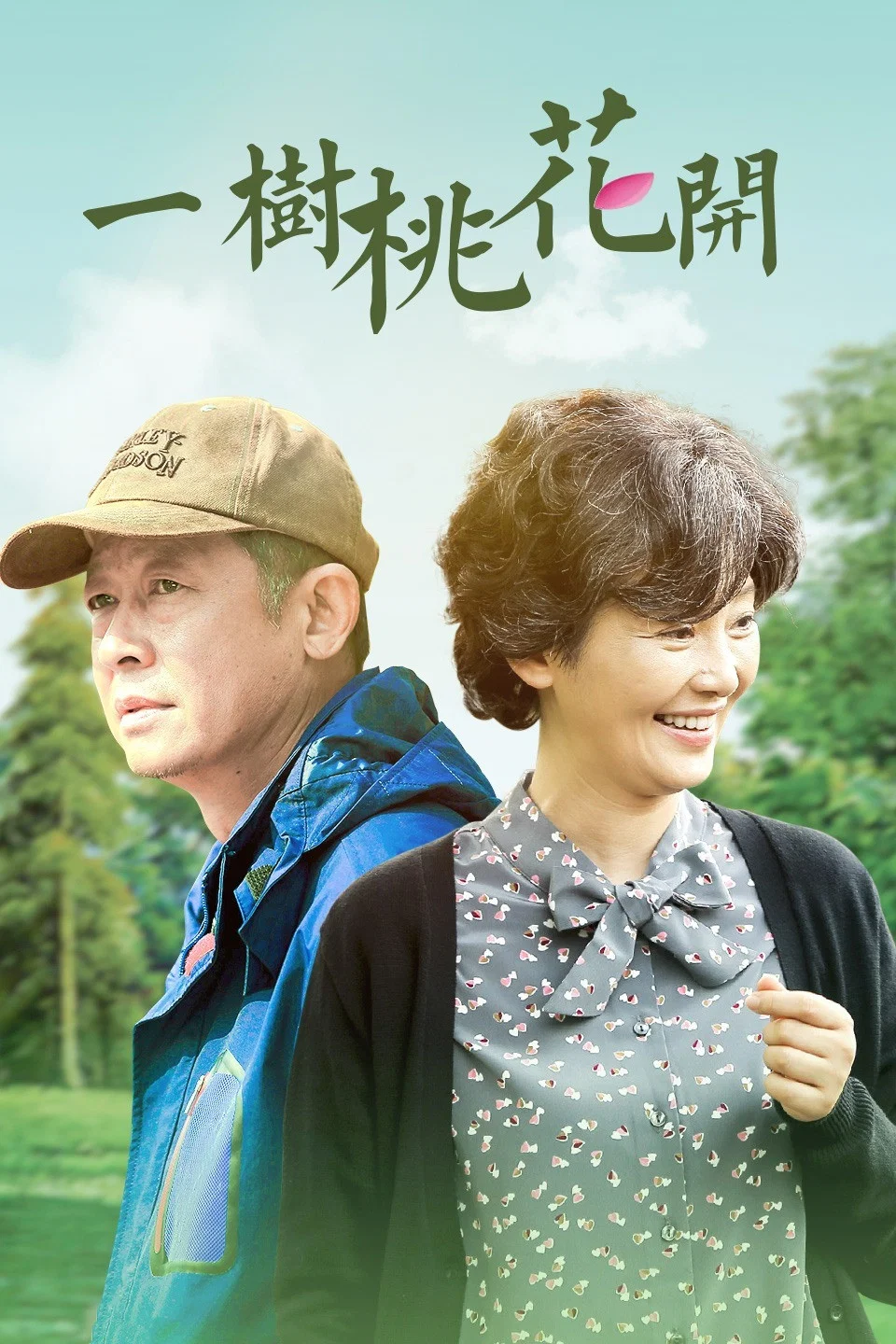 《一树桃花开》海报